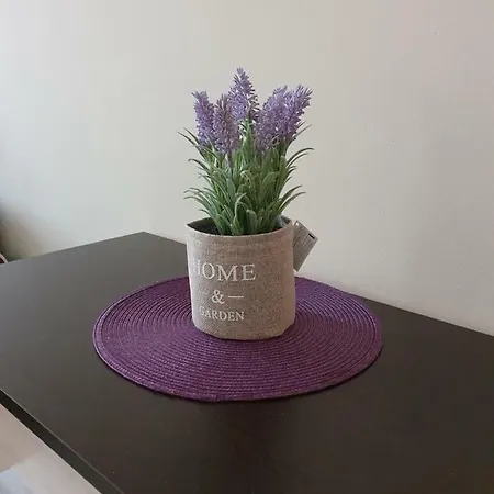 Apartment Orchid Golden Sands