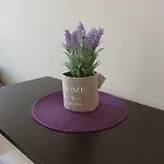 Apartament Orchid Złote Piaski